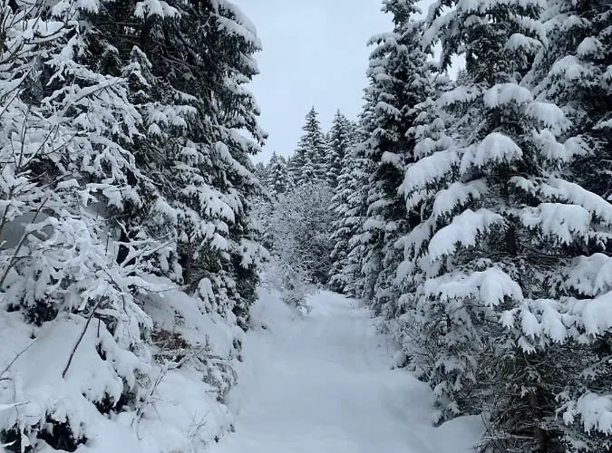 Lentner Apartamento Maurach (Achensee)