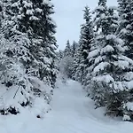 Lentner Daire Maurach (Achensee)