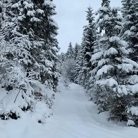 Lentner Appartement Maurach (Achensee)